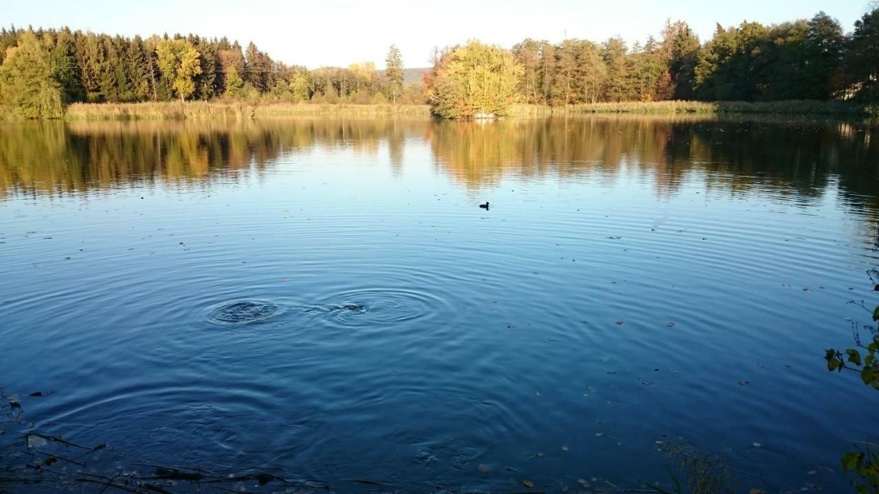 Ferienwohnung Mitwitz Kronach Neustadt Coburg - Erholung, Wandern Uvm. Sehr Ruhig Gelegen Zewnętrze zdjęcie